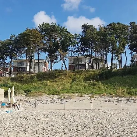 Elegance Yellow ريفال